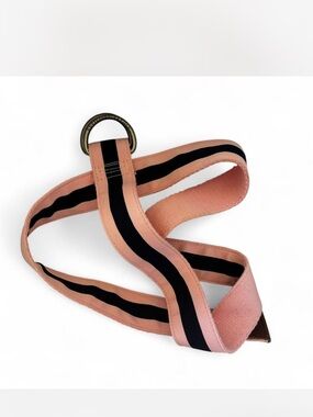 Abercrombie & Fitch Pink Navy Stripe D-Ring Belt Size 31 Y2K Preppy